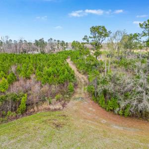 Photo #19 of TBD Muddy Creek Rd., Johnsonville, SC 86.5 acres