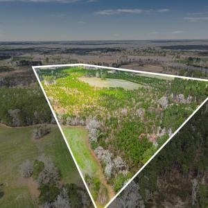 Photo #17 of TBD Muddy Creek Rd., Johnsonville, SC 86.5 acres