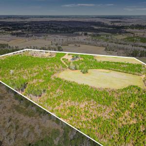 Photo #25 of TBD Muddy Creek Rd., Johnsonville, SC 86.5 acres