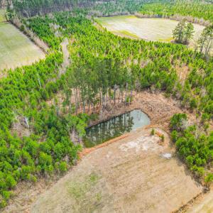 Photo #12 of TBD Muddy Creek Rd., Johnsonville, SC 86.5 acres