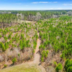 Photo #20 of TBD Muddy Creek Rd., Johnsonville, SC 86.5 acres