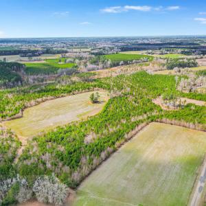 Photo #11 of TBD Muddy Creek Rd., Johnsonville, SC 86.5 acres
