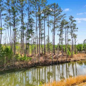 Photo #8 of TBD Muddy Creek Rd., Johnsonville, SC 86.5 acres
