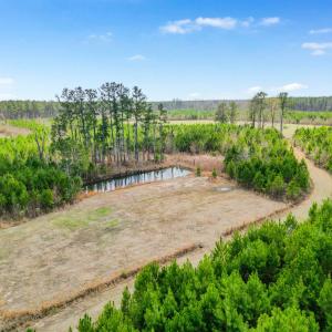 Photo #19 of TBD Muddy Creek Rd., Johnsonville, SC 86.5 acres