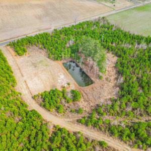 Photo #9 of TBD Muddy Creek Rd., Johnsonville, SC 86.5 acres