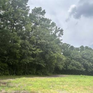 Photo #1 of TBD Johnson  Rd., Galivants Ferry, SC 6.2 acres