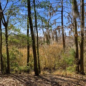 Photo #18 of 602 Chapman Loop, Pawleys Island, SC 0.7 acres
