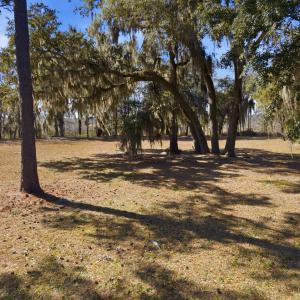 Photo #21 of 602 Chapman Loop, Pawleys Island, SC 0.7 acres
