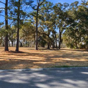 Photo #15 of 602 Chapman Loop, Pawleys Island, SC 0.7 acres
