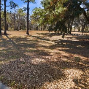 Photo #22 of 602 Chapman Loop, Pawleys Island, SC 0.7 acres