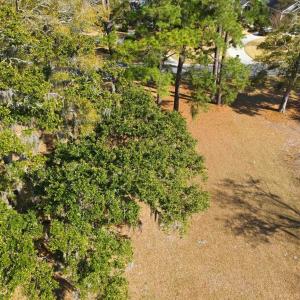 Photo #11 of 602 Chapman Loop, Pawleys Island, SC 0.7 acres