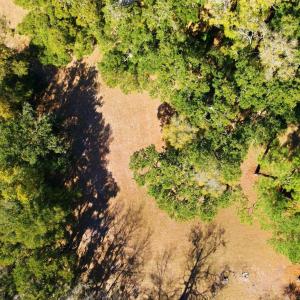 Photo #8 of 602 Chapman Loop, Pawleys Island, SC 0.7 acres