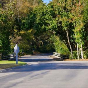 Photo #36 of 602 Chapman Loop, Pawleys Island, SC 0.7 acres