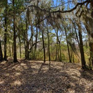 Photo #24 of 602 Chapman Loop, Pawleys Island, SC 0.7 acres