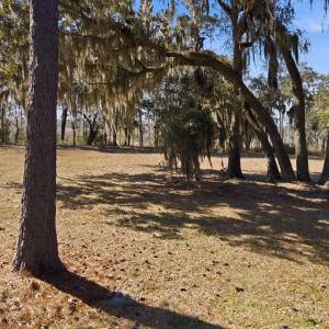 Photo #16 of 602 Chapman Loop, Pawleys Island, SC 0.7 acres