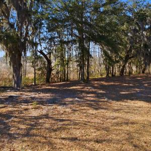 Photo #25 of 602 Chapman Loop, Pawleys Island, SC 0.7 acres
