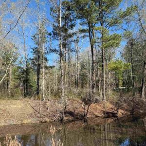 Photo #2 of TBD Locust Tree Ct., Gresham, SC 0.3 acres