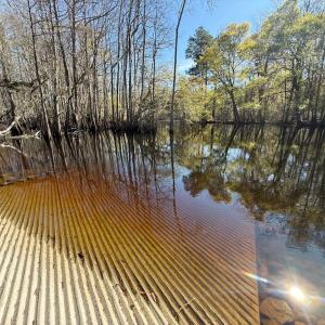 Photo #5 of TBD Locust Tree Ct., Gresham, SC 0.3 acres
