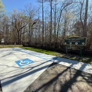Photo #3 of TBD Locust Tree Ct., Gresham, SC 0.3 acres