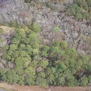 Photo #1 of TBD South Island Rd., Georgetown, SC 2.8 acres