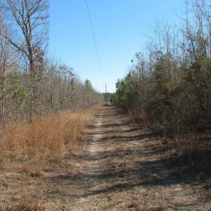 Photo #48 of Cannery Rd, Dalzell, SC 75.0 acres