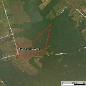 Photo #1 of Cannery Rd, Dalzell, SC 75.0 acres