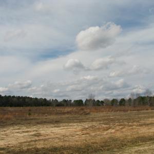 Photo #20 of Cannery Rd, Dalzell, SC 75.0 acres