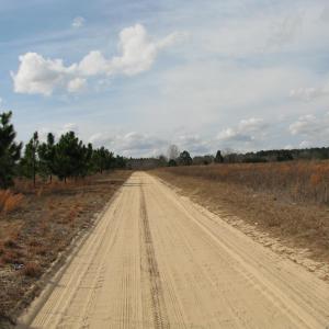Photo #17 of Cannery Rd, Dalzell, SC 75.0 acres