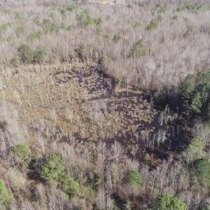 Photo #9 of Cannery Rd, Dalzell, SC 75.0 acres