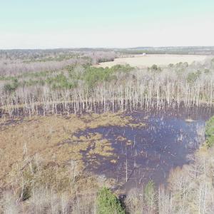 Photo #8 of Cannery Rd, Dalzell, SC 75.0 acres