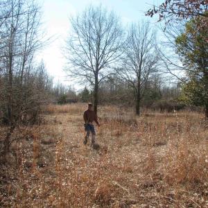 Photo #50 of Cannery Rd, Dalzell, SC 75.0 acres