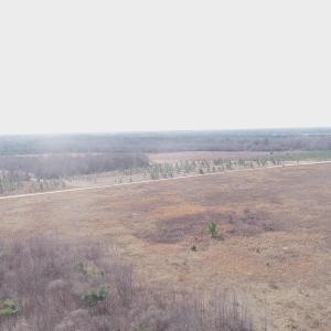 Photo #2 of Cannery Rd, Dalzell, SC 75.0 acres