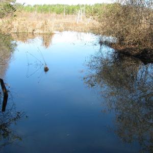 Photo #30 of Cannery Rd, Dalzell, SC 75.0 acres