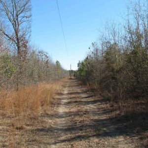 Photo #49 of Cannery Rd, Dalzell, SC 75.0 acres