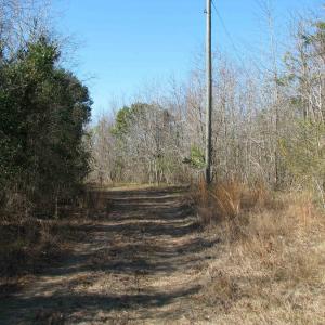 Photo #47 of Cannery Rd, Dalzell, SC 75.0 acres