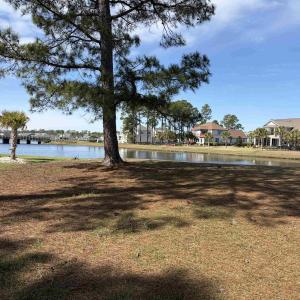 Photo #1 of 1945 Sweet Olive Ln., Myrtle Beach, SC 0.3 acres