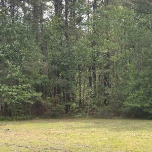 Photo #3 of 8743 Highway 707, Myrtle Beach, SC 0.7 acres