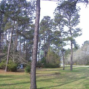 Photo #17 of 5272 Carriage Rd., Conway, SC 4.6 acres