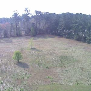 Photo #13 of 5272 Carriage Rd., Conway, SC 4.6 acres