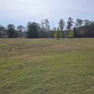 Photo #23 of 5272 Carriage Rd., Conway, SC 4.6 acres