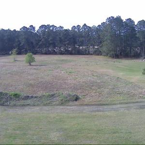 Photo #16 of 5272 Carriage Rd., Conway, SC 4.6 acres