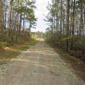 Photo #2 of T.B.D. Finnell Rd., Little River, SC 13.3 acres