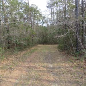 Photo #4 of T.B.D. Finnell Rd., Little River, SC 13.3 acres