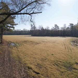 Photo #13 of TBD Green Rd., Lake City, SC 19.6 acres