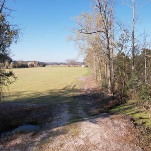 Photo #12 of TBD Green Rd., Lake City, SC 19.6 acres