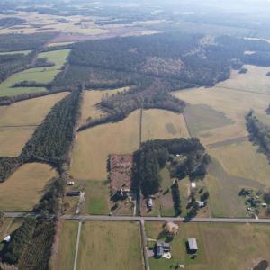 Photo #3 of TBD Green Rd., Lake City, SC 19.6 acres