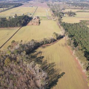 Photo #7 of TBD Green Rd., Lake City, SC 19.6 acres