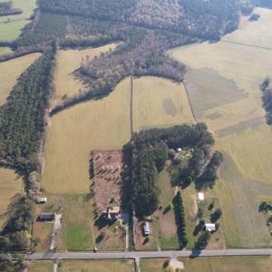 Photo #1 of TBD Green Rd., Lake City, SC 19.6 acres