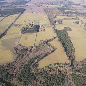 Photo #5 of TBD Green Rd., Lake City, SC 19.6 acres