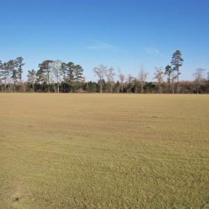 Photo #10 of TBD Green Rd., Lake City, SC 19.6 acres